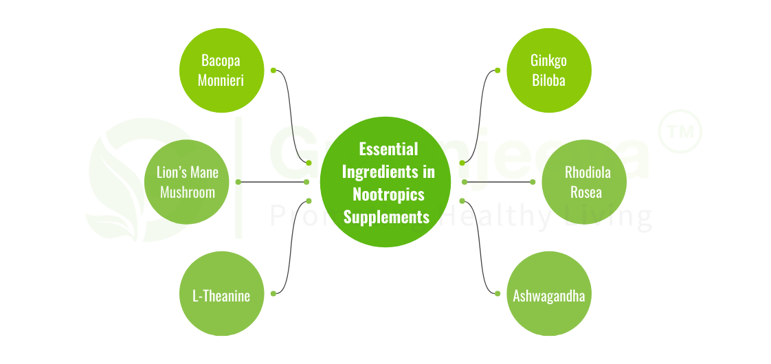 nootropics supplements